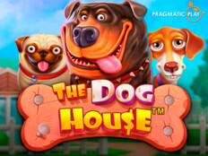 Casino share price. Online casino freespins.4